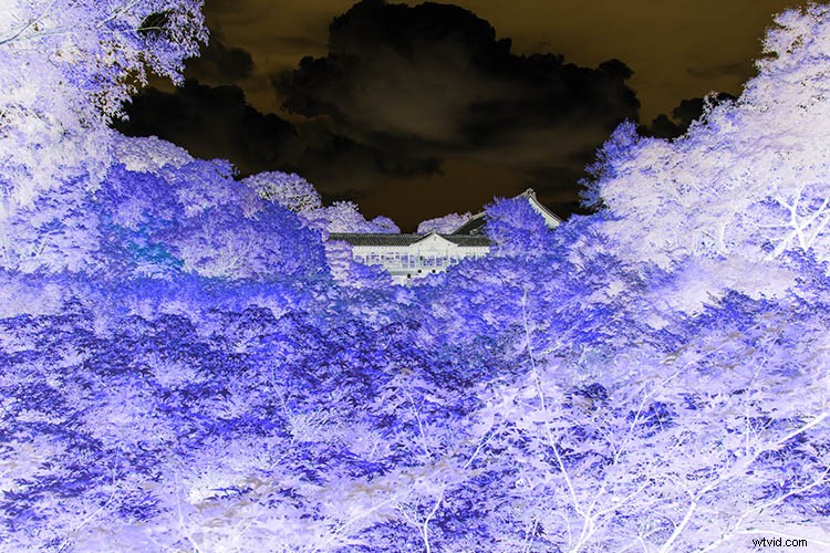 Create Stunning Infrared Effects in Photoshop: Step-by-Step Tutorial