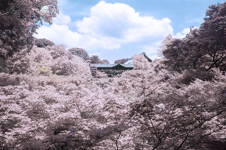 Create Stunning Infrared Effects in Photoshop: Step-by-Step Tutorial