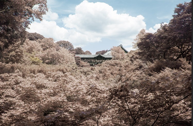 Create Stunning Infrared Effects in Photoshop: Step-by-Step Tutorial