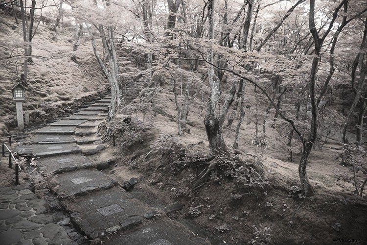 Create Stunning Infrared Effects in Photoshop: Step-by-Step Tutorial