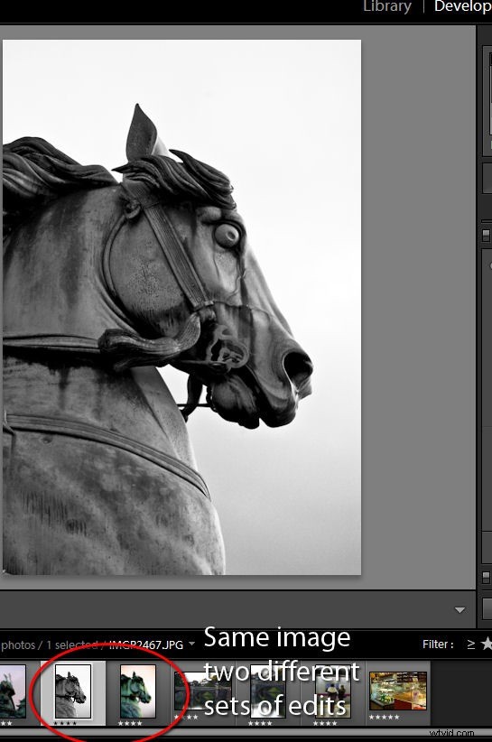 Master Virtual Copies in Lightroom: Experiment with Edits Without Duplicating Images
