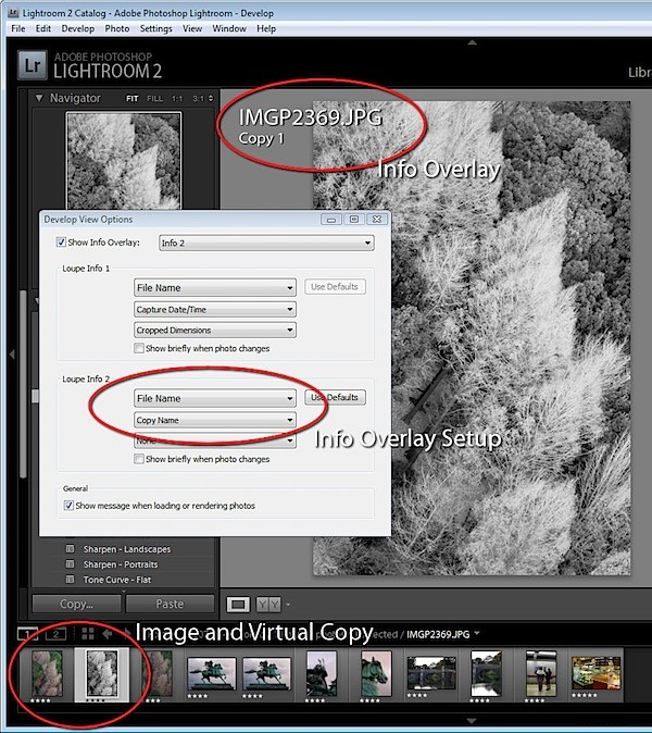 Master Virtual Copies in Lightroom: Experiment with Edits Without Duplicating Images