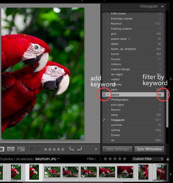 5 Common Lightroom Mistakes Beginners Must Avoid