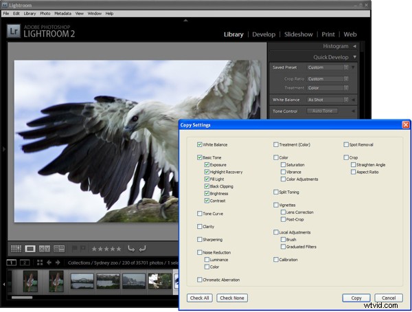 5 Common Lightroom Mistakes Beginners Must Avoid