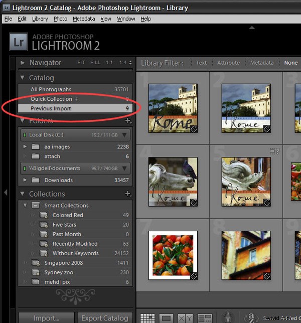 5 Common Lightroom Mistakes Beginners Must Avoid