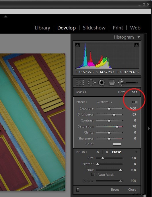 Mastering Advanced Adjustment Brush Techniques in Lightroom