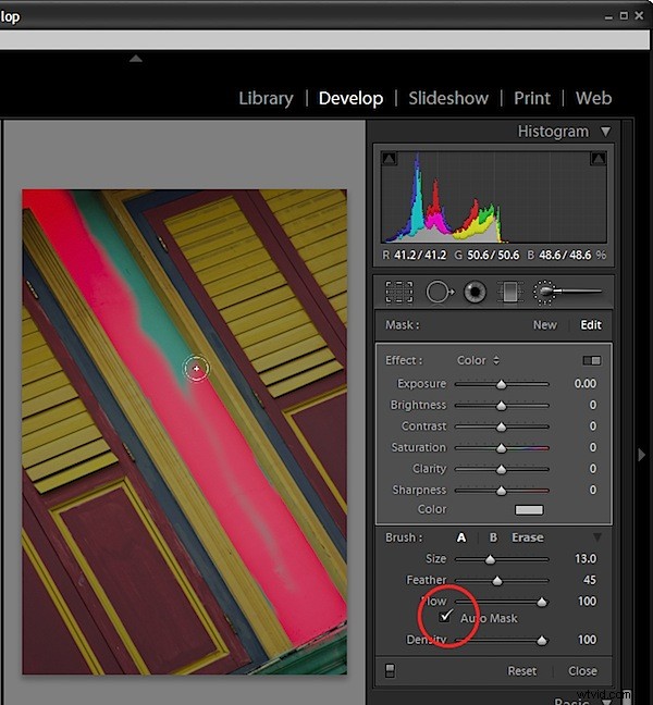Mastering Advanced Adjustment Brush Techniques in Lightroom