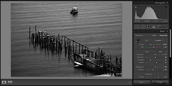Master High-Contrast Black & White Images in Adobe Lightroom 2: Pro Tips