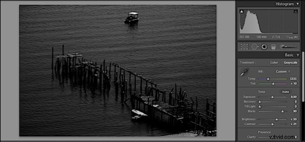 Master High-Contrast Black & White Images in Adobe Lightroom 2: Pro Tips