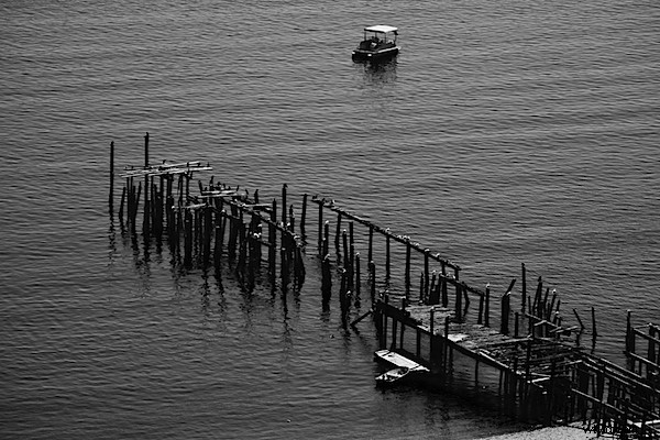 Master High-Contrast Black & White Images in Adobe Lightroom 2: Pro Tips