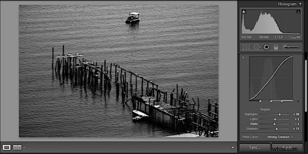 Master High-Contrast Black & White Images in Adobe Lightroom 2: Pro Tips