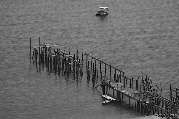 Master High-Contrast Black & White Images in Adobe Lightroom 2: Pro Tips