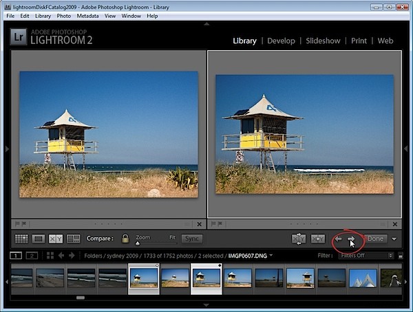 Master Lightroom Compare View: Compare and Select Photos Like a Pro