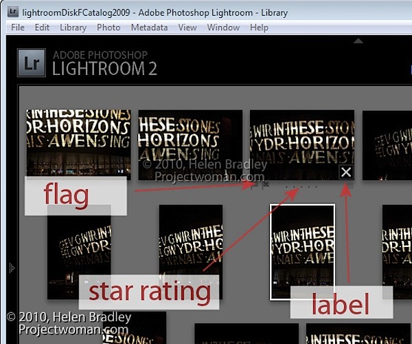 How to Select the Best Images Using Survey View in Lightroom