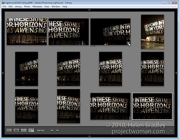 How to Select the Best Images Using Survey View in Lightroom