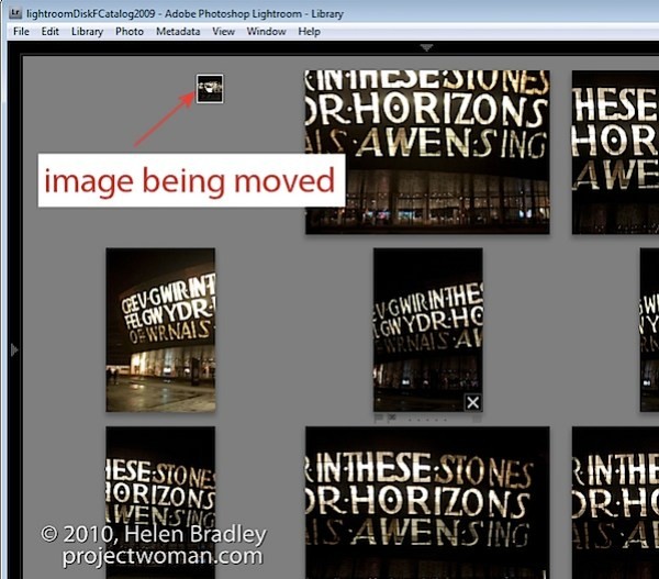 How to Select the Best Images Using Survey View in Lightroom