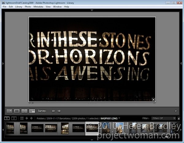 How to Select the Best Images Using Survey View in Lightroom