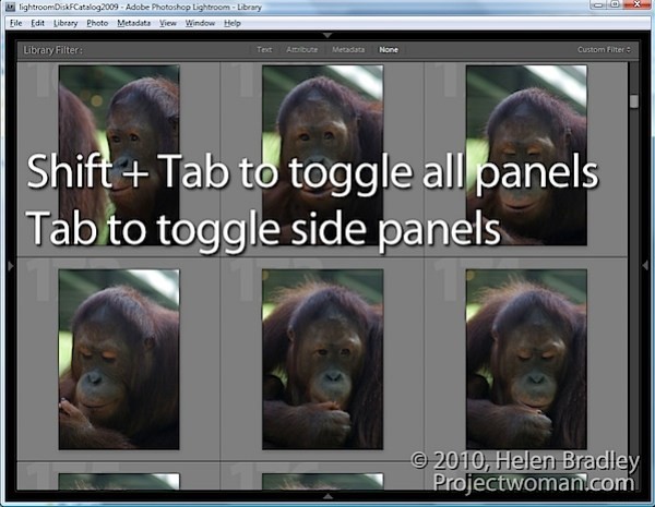 5 More Lightroom Panel Tricks to Supercharge Your Editing Workflow