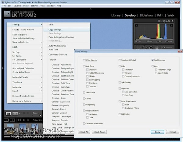 Effortlessly Remove Sensor Dust in Lightroom: Step-by-Step Guide