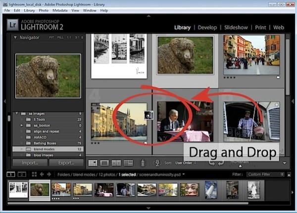 Custom Sort Photos Your Way in Lightroom: Organize for Slideshows & Prints