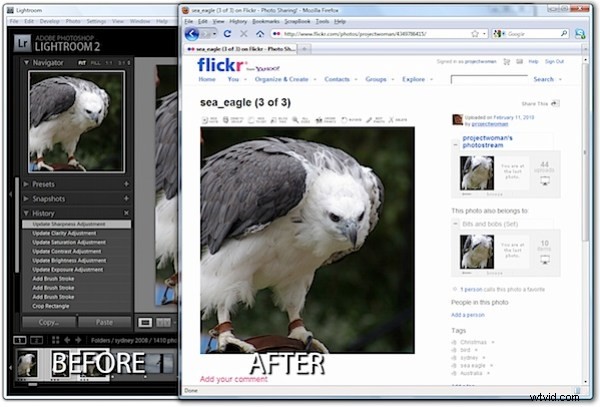 How to Seamlessly Publish Lightroom Photos to Flickr: Step-by-Step Guide