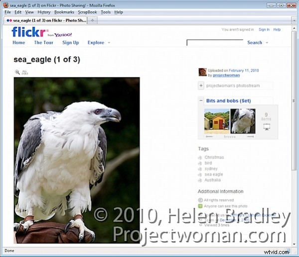 How to Seamlessly Publish Lightroom Photos to Flickr: Step-by-Step Guide