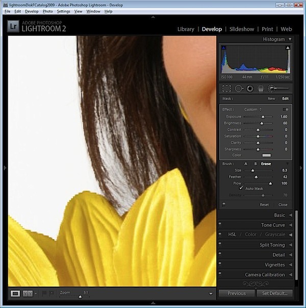 Expert Guide: Lighten Backgrounds to Pure White in Lightroom