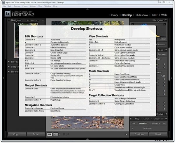 5 Essential Lightroom Shortcuts to Supercharge Your Photo Editing Workflow