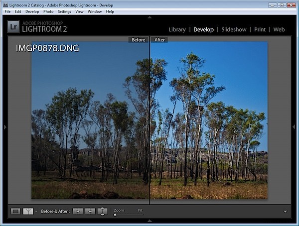 Mastering Before and After Views in Adobe Lightroom: Pro Control Tips