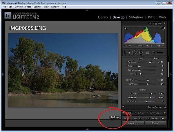 Mastering Before and After Views in Adobe Lightroom: Pro Control Tips