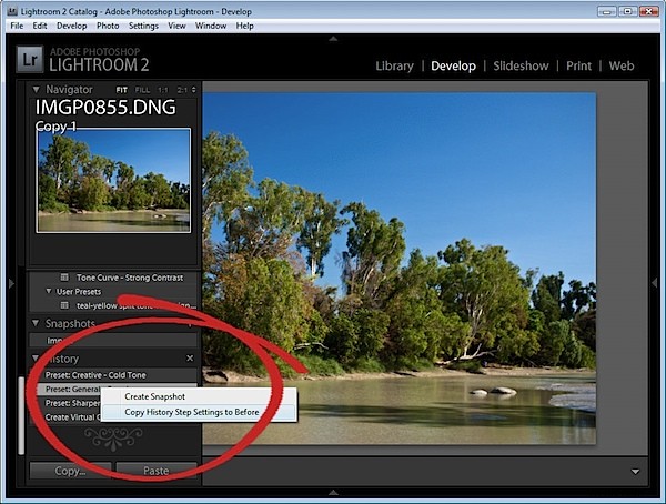Mastering Before and After Views in Adobe Lightroom: Pro Control Tips