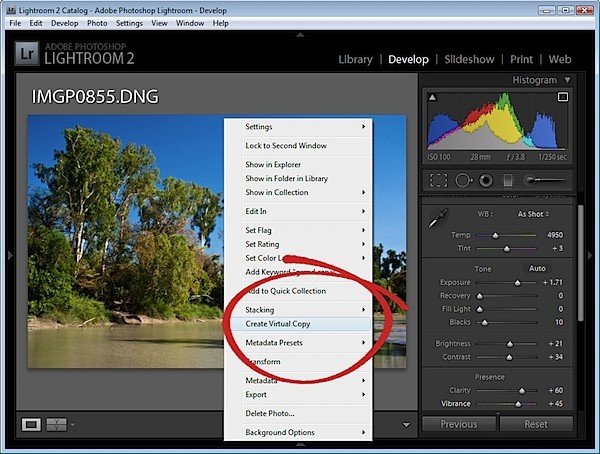 Mastering Before and After Views in Adobe Lightroom: Pro Control Tips