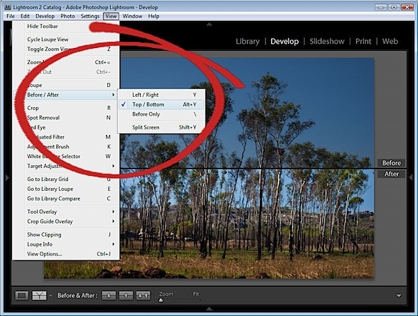 Mastering Before and After Views in Adobe Lightroom: Pro Control Tips