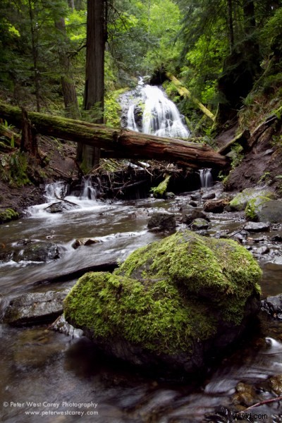 Gradient ND Filters vs. Lightroom Gradient Tool: In-Depth Comparison for Photographers