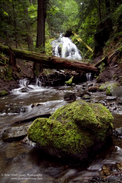 Gradient ND Filters vs. Lightroom Gradient Tool: In-Depth Comparison for Photographers