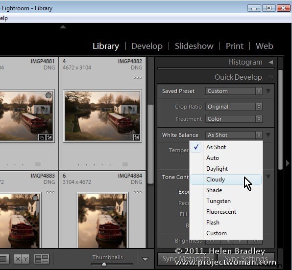 Master Lightroom s Quick Develop Panel: Fast Batch Photo Editing Guide