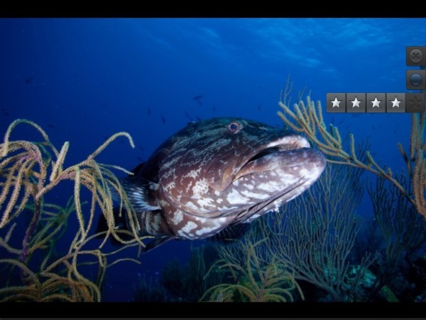 Photosmith: Seamless iPad Companion for Adobe Lightroom – Win a Free Copy!