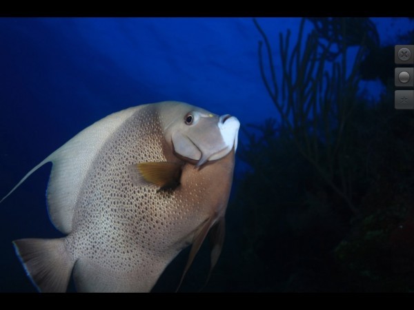 Photosmith: Seamless iPad Companion for Adobe Lightroom – Win a Free Copy!