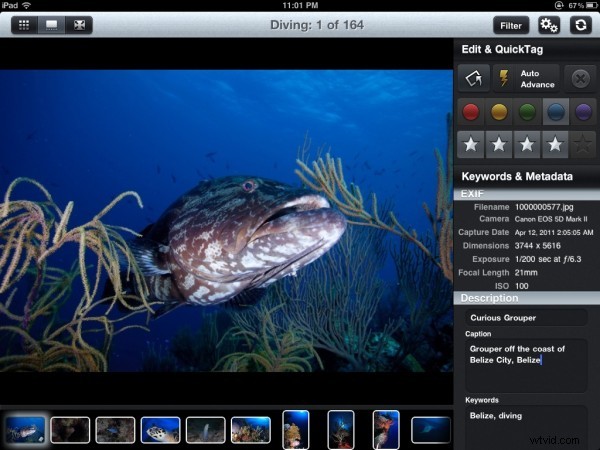Photosmith: Seamless iPad Companion for Adobe Lightroom – Win a Free Copy!