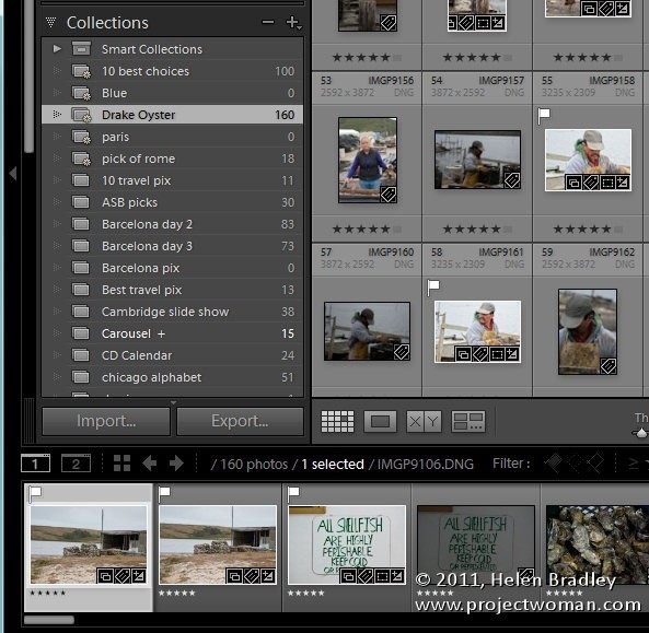 8 Essential Insights for Mastering Lightroom Collections