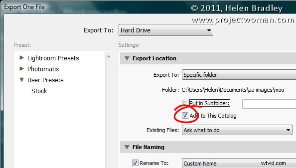 8 Essential Insights for Mastering Lightroom Collections