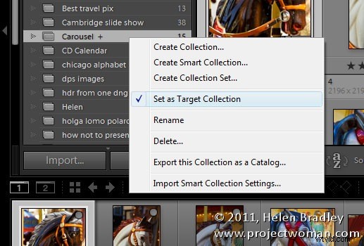 8 Essential Insights for Mastering Lightroom Collections