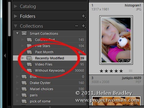 8 Essential Insights for Mastering Lightroom Collections