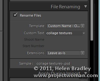 5 Must-Know Tips for Mastering Lightroom s Import Dialog