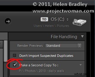5 Must-Know Tips for Mastering Lightroom s Import Dialog