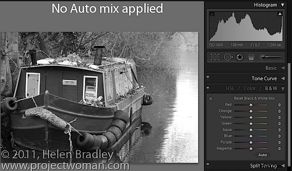 Master Black & White Conversions in Lightroom: Two Essential Settings