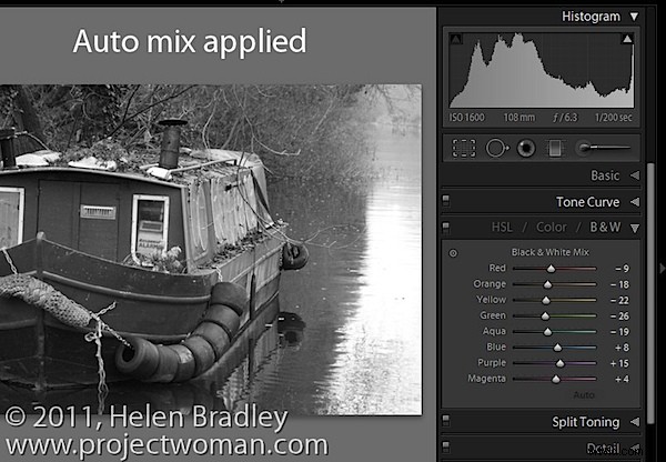 Master Black & White Conversions in Lightroom: Two Essential Settings