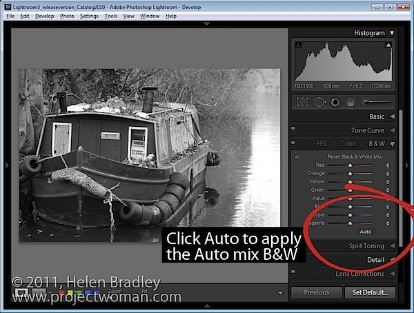 Master Black & White Conversions in Lightroom: Two Essential Settings