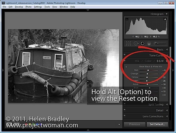 Master Black & White Conversions in Lightroom: Two Essential Settings