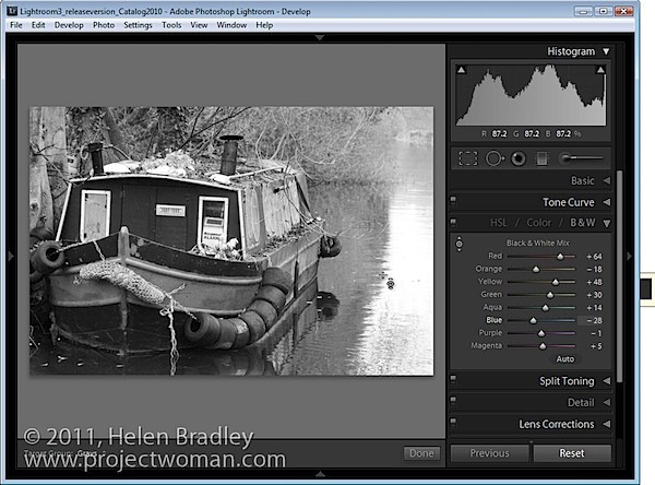Master Black & White Conversions in Lightroom: Two Essential Settings
